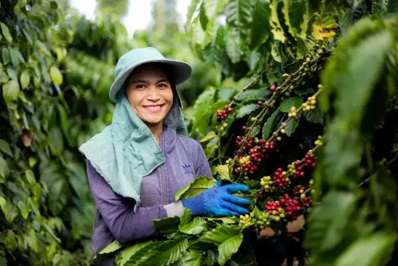 'Nông nghiệp phát thải thấp tạo động lực tăng trưởng bền vững'