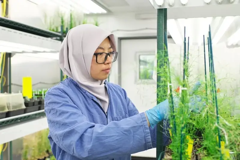 Nhà khoa học bàn giải pháp cho nông nghiệp và chăn nuôi bền vững